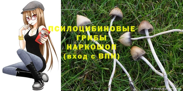 MESCALINE Нефтекумск